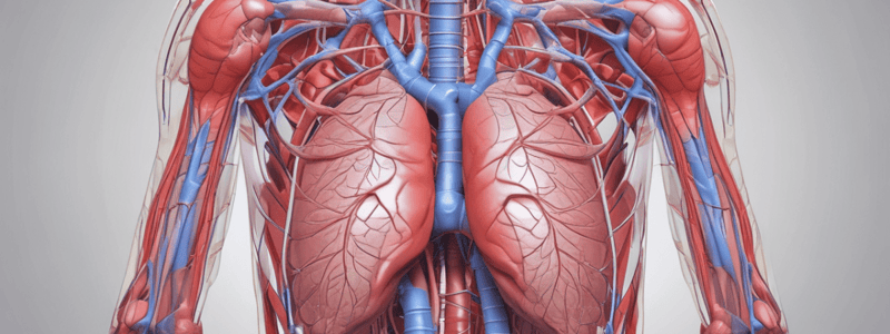 Ninja Nerd - Circulatory System | Pulmonary Circulation