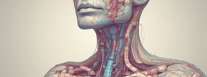 Thyroid Hormones and Their Functions Quiz