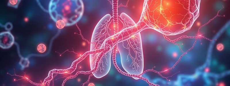 Cellular Aerobic Respiration Overview