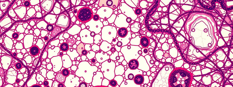 Introducción a la Histología