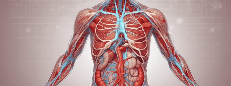 Physiology Quiz: Heart and Muscle Function