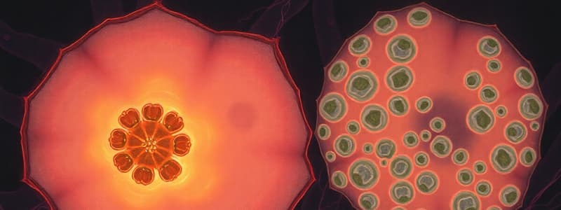 Biology Chapter 5: Cell Structure and Function