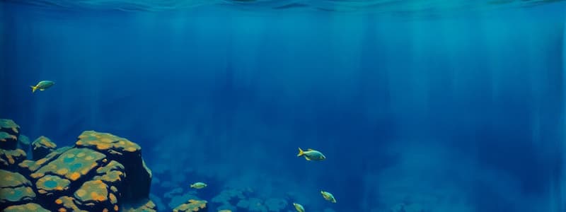 Oceanography: Salinity, Depth, and Ocean Floor