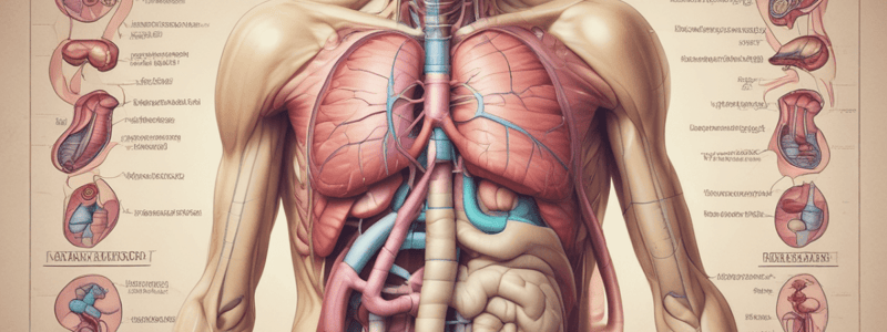 Introduction to the Esophagus