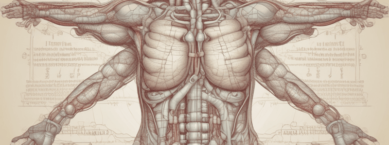 Thyroid Hormones T3 and T4 Functions