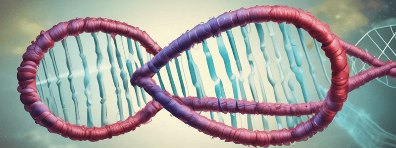 DNA Structure and Replication Quiz