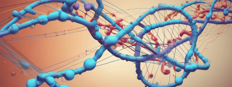 Molecular Biology: Codon Structure and Translation