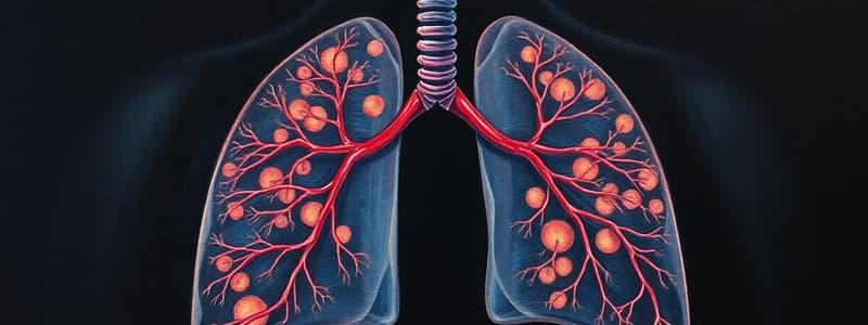 Respiratory System Overview