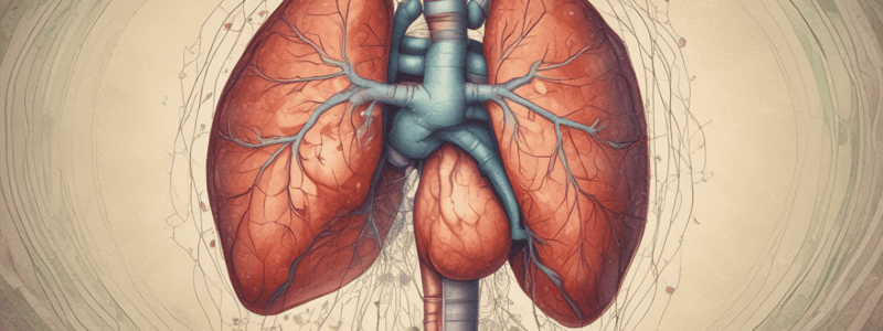 Non-Alcoholic Fatty Liver Disease: Understanding the Spectrum