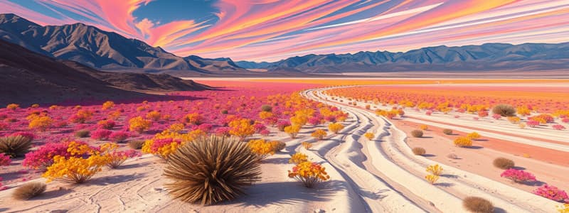 Desierto Florido en Atacama