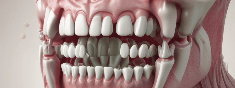 Dental Anatomy: Maxillary Premolars