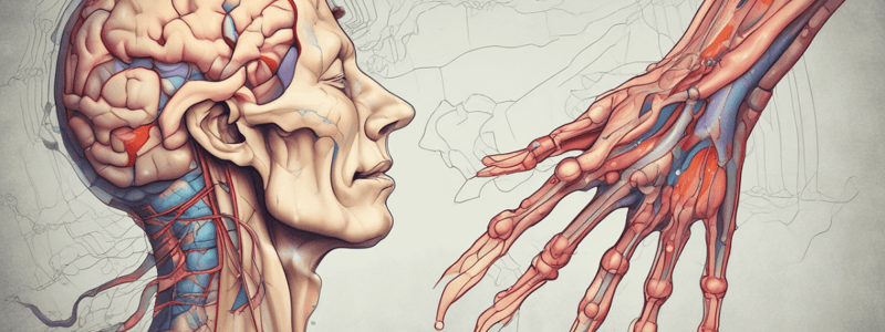 Traumatic Neuroma: Clinical Features and Histopathology