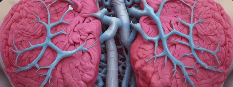 Anesthetic Implications of SVC Syndrome