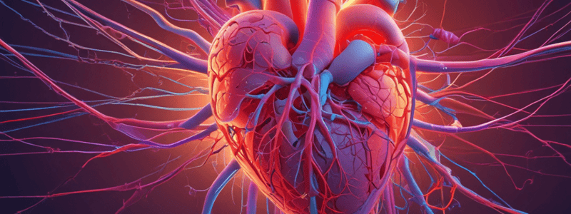 Sympathetic and Parasympathetic Innervation of Heart Nodes