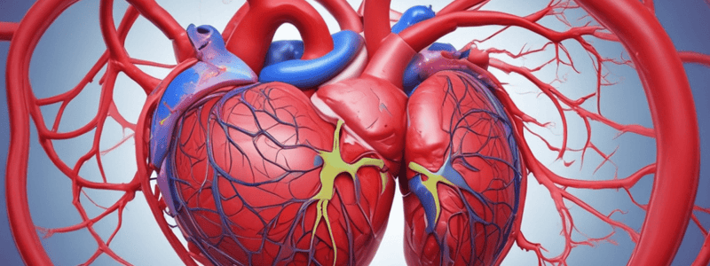 Ischemic Heart Disease - Coronary Circulation Anatomy and Pathophysiology