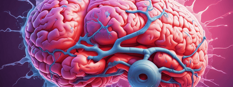 Development of Secondary Vesicles and Eyes in the Embryonic Brain