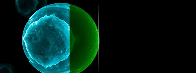 Cell Division and Mitosis Overview