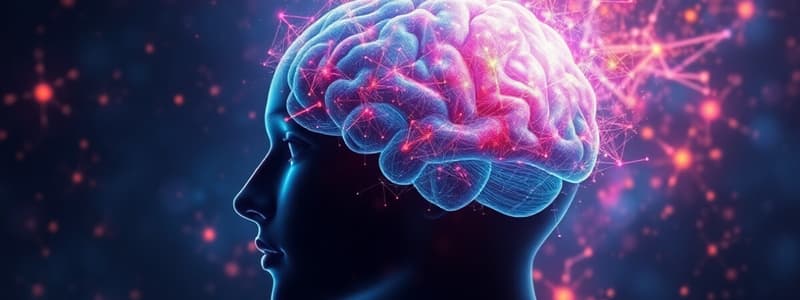 Cognitive Neuroscience Quiz