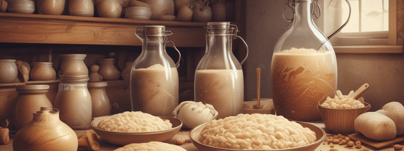 The Role of Water in Dough Making