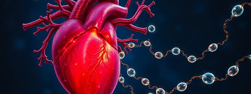 Molecular Biology Techniques: Myocardin & Cell Phenotype