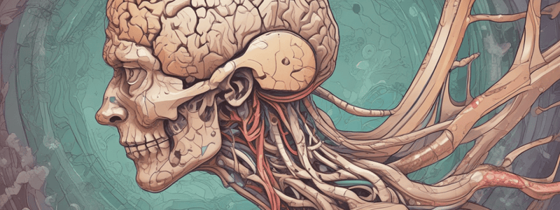 Physiologic Anatomy of Cerebral Cortex