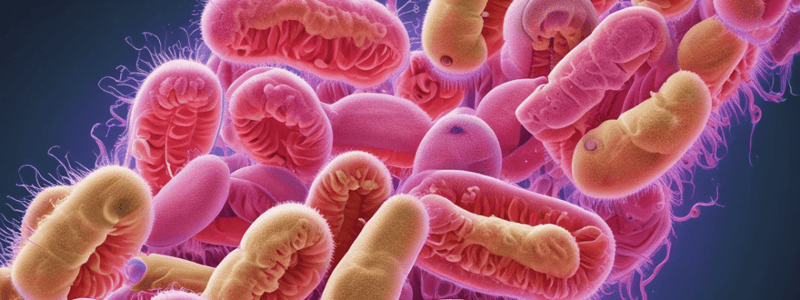 Escherichia coli (E.coli) Characteristics Quiz