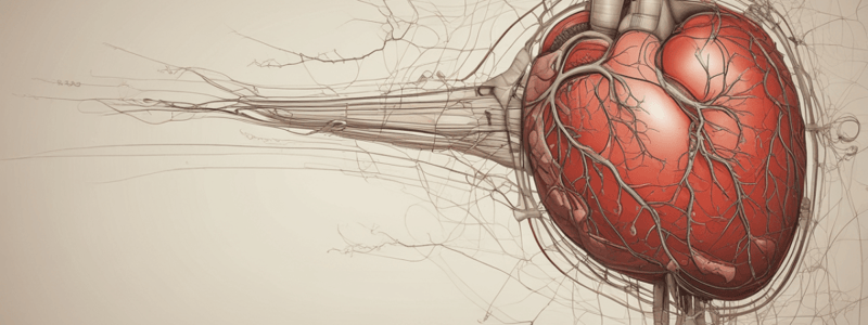 Ninja Nerd - Circulatory System | Liver Circulation Model