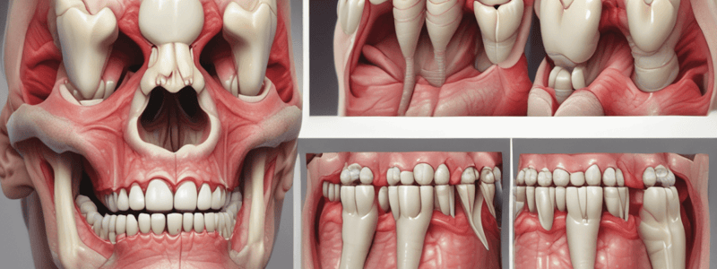 Dentistry: Treatment of Oro-antral Fistula