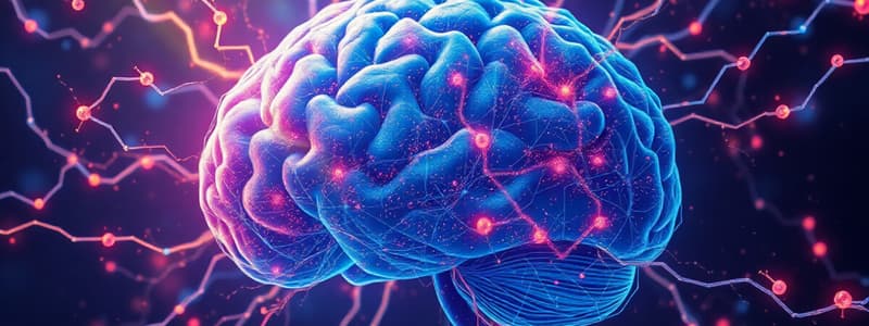 Neurotransmitters in CNS