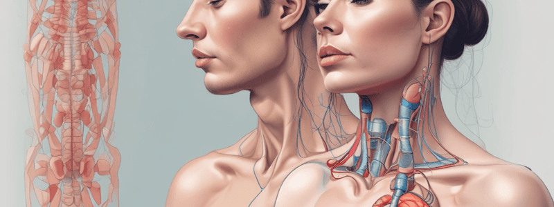 Thyroid Gland Palpation Procedure