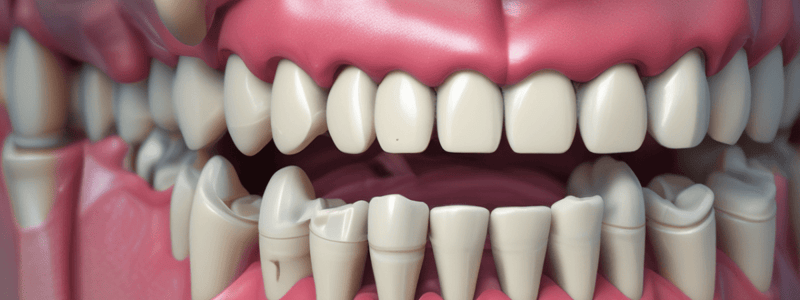 Periodontal Ligament (PDL) Structure and Function