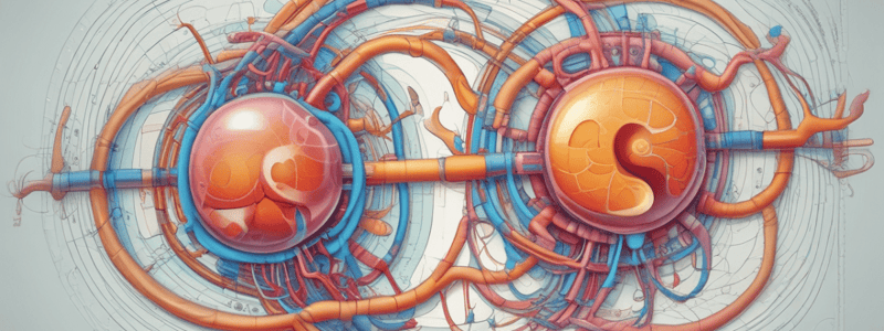 Kidney Metabolism Chapter