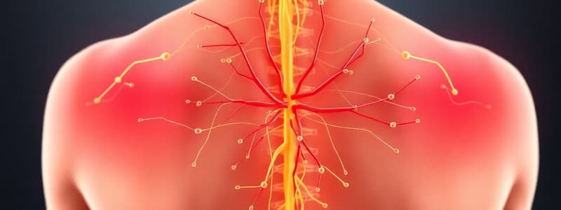 Assessing Pain in Nociceptive Pain