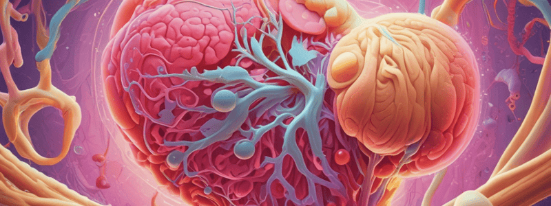 Urinary System Overview