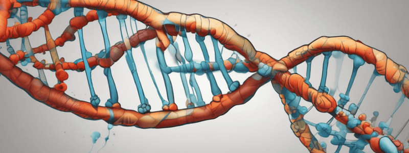 Molecular Biology: DNA Repair and Mutations