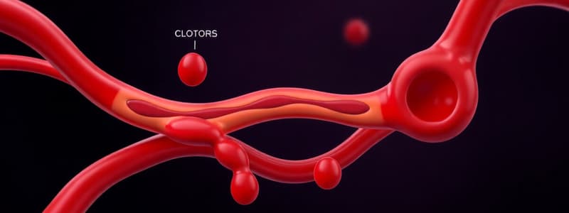 Clotting Cascade Overview