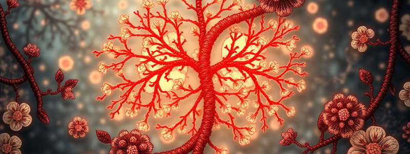 Metabolism and Cellular Respiration Overview