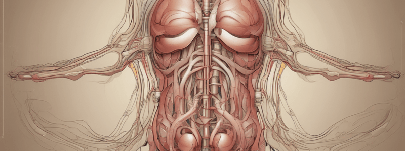 Urinary System Functions