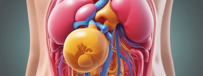 Urinary System Chapter 25.1: Physical Characteristics of Urine Quiz