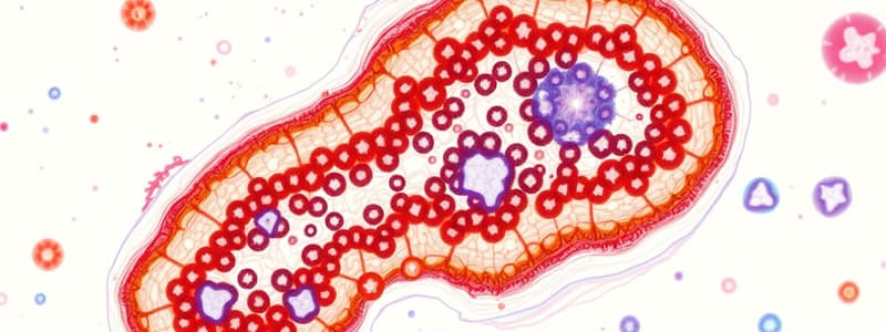 Métodos de Estudio en Histología