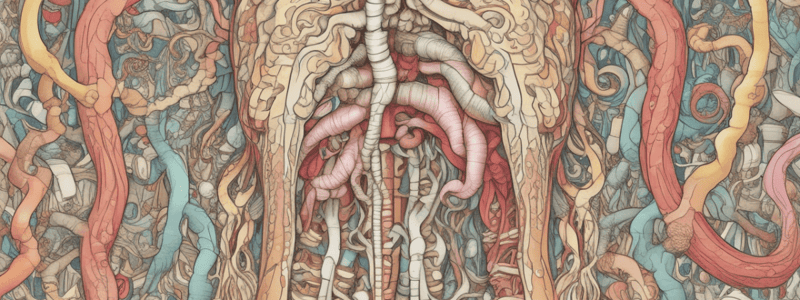 Digestion Process in the Oral Cavity