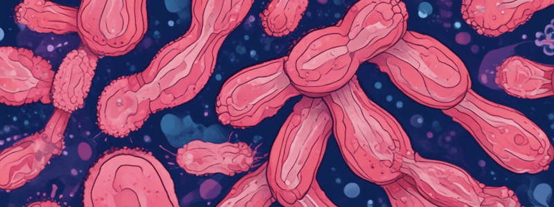 Sarcoidosis Pathogenesis Quiz