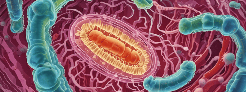 E. coli Adhesion and Pathogenicity