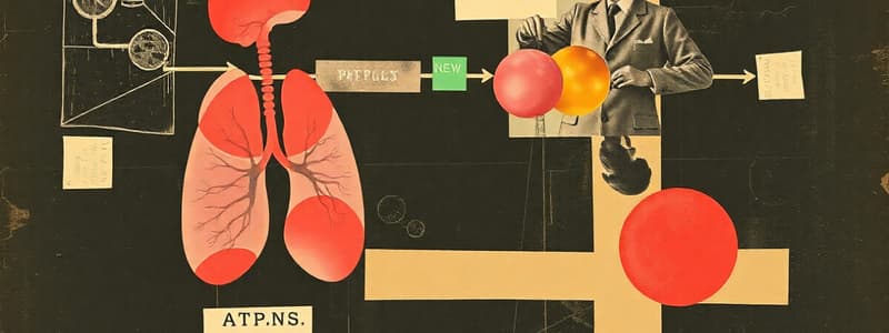 Cellular Respiration Overview