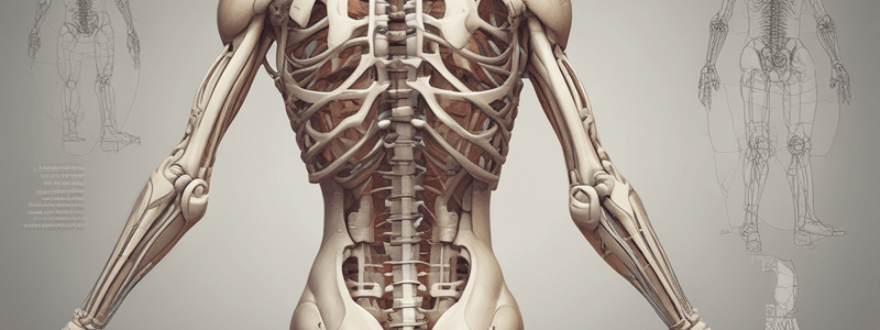 Anatomy of Synovial Joints