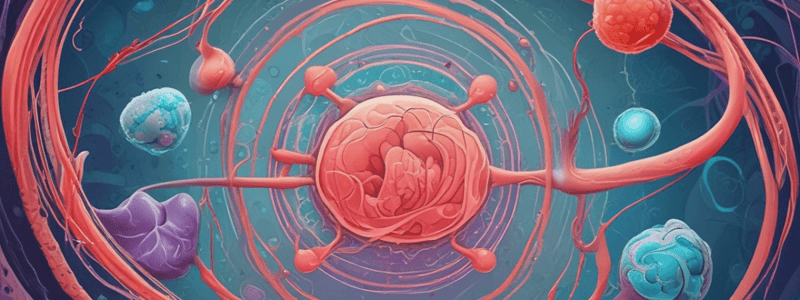 Umbilical Cord Blood Stem Cells