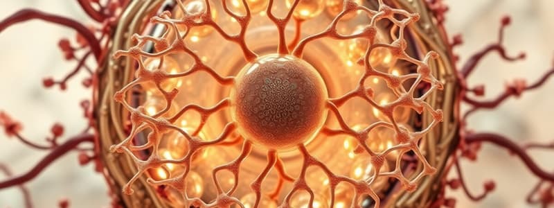 Cell Structure and Cellular Process