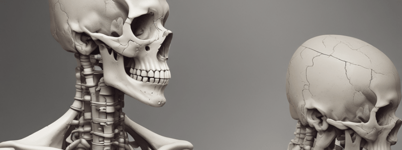 Bone Tumors: Systematic Approach Quiz