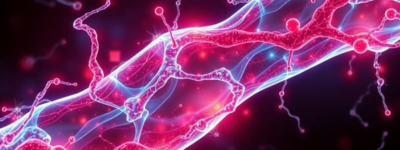 Muscle Contraction Mechanism Quiz