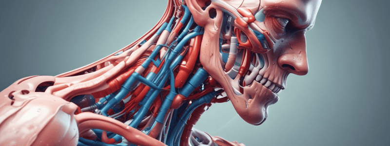 Biomechanics & Surgery: Tissue Mechanics I